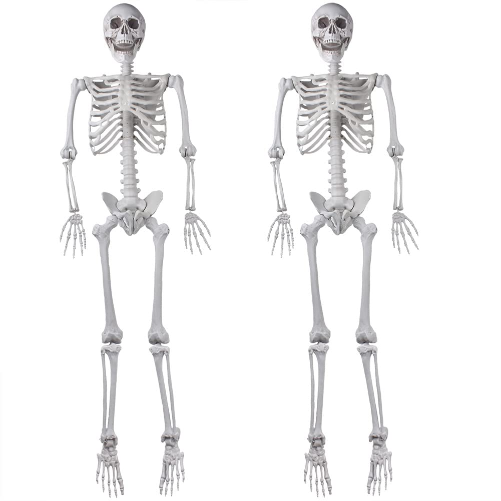 2Packs 5.4ft Life Size Full Body Skeletons with Movable Joints U5614