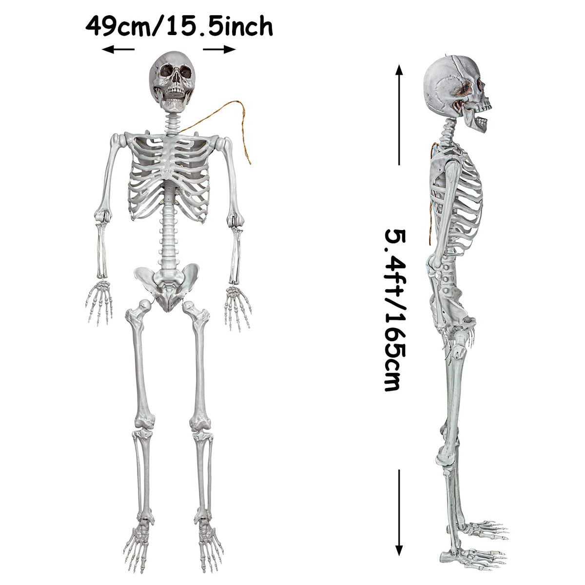 2Packs 5.4ft Life Size Full Body Skeletons with Movable Joints U5614