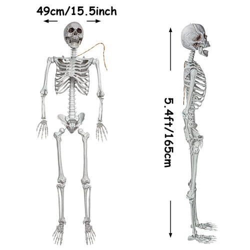 2Packs 5.4ft Life Size Full Body Skeletons with Movable Joints U5614