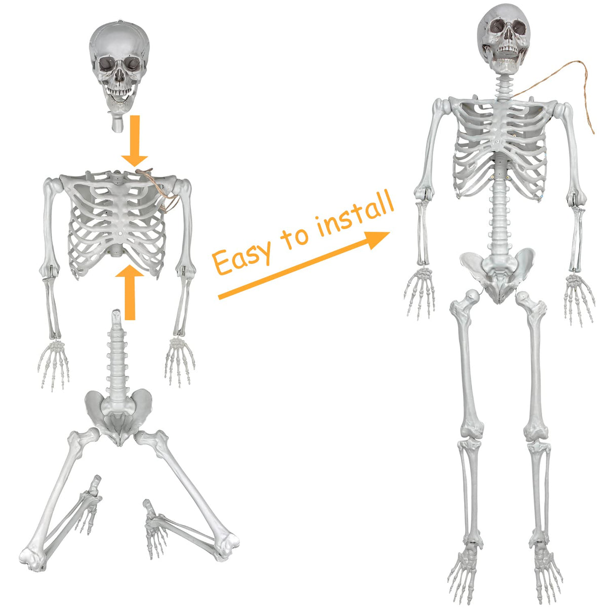 2Packs 5.4ft Life Size Full Body Skeletons with Movable Joints U5614