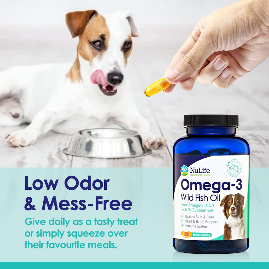 Omega 3 Fish Oil 1000mg 180 Capsules P778