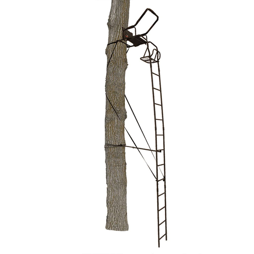 Ladder Tree Stand N429