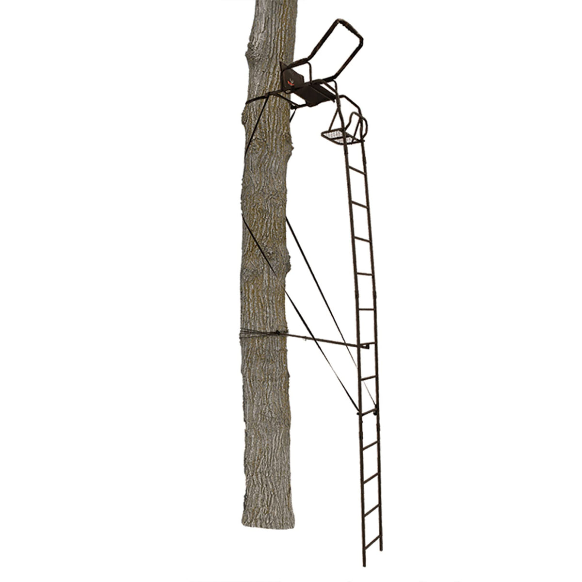Ladder Tree Stand N429
