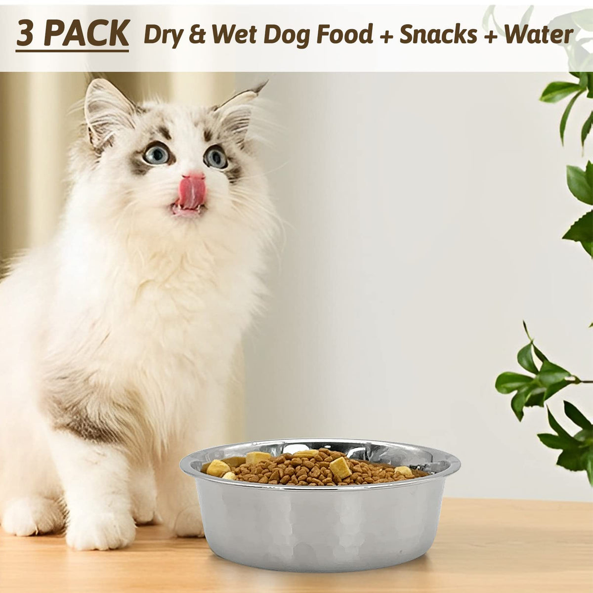 3 Pack Stainless Steel Cat Bowls O70684