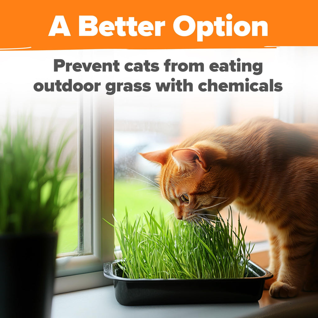 Cat Grass Seeds 4 oz Oat & Barley Mix W726514