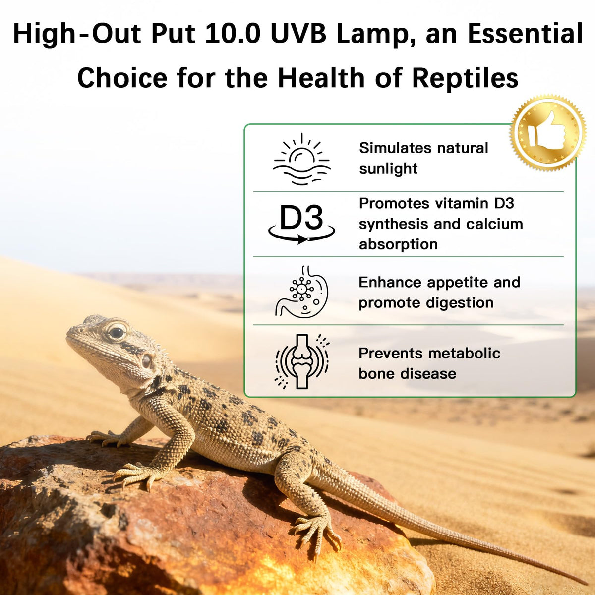 8W UVA UVB Reptile Light Fixture Combo Kit P141535