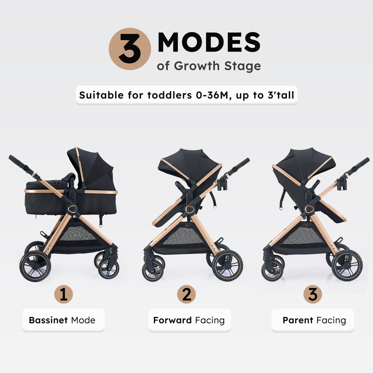 2-in-1 Convertible Baby Stroller E25131