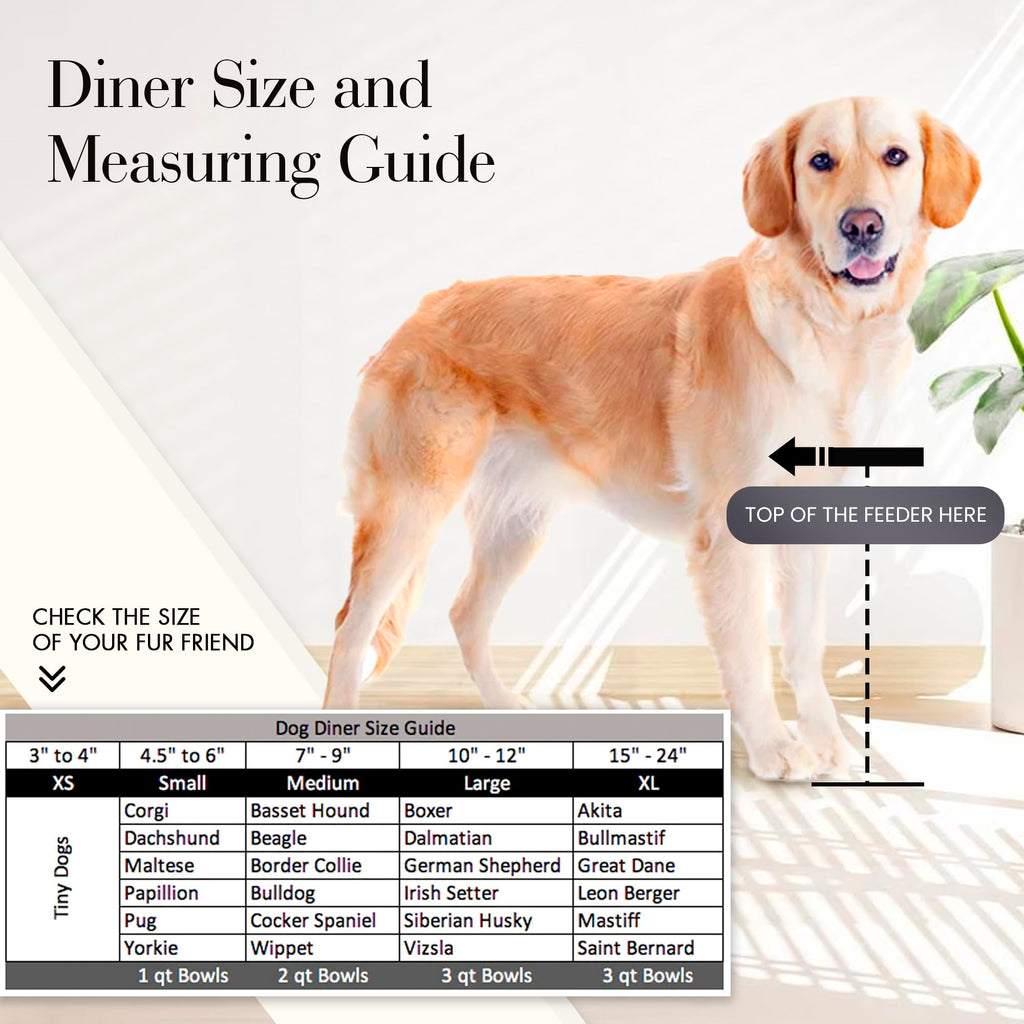 Black Triple Bowl Dog and Cat Feeder Stand with 3-2 Qt Stainless Bowls M947796