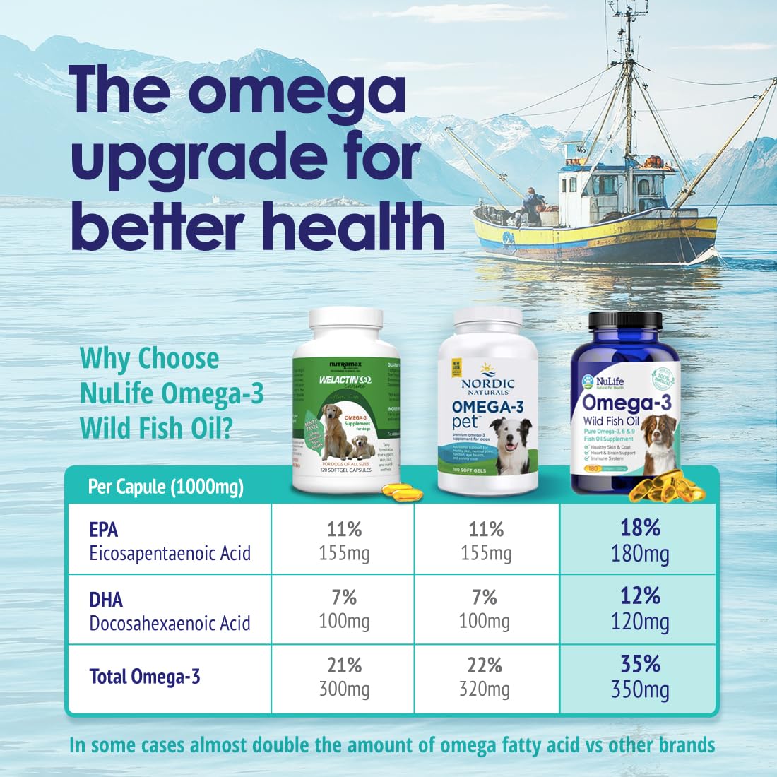 Omega 3 Fish Oil 1000mg 180 Capsules P778