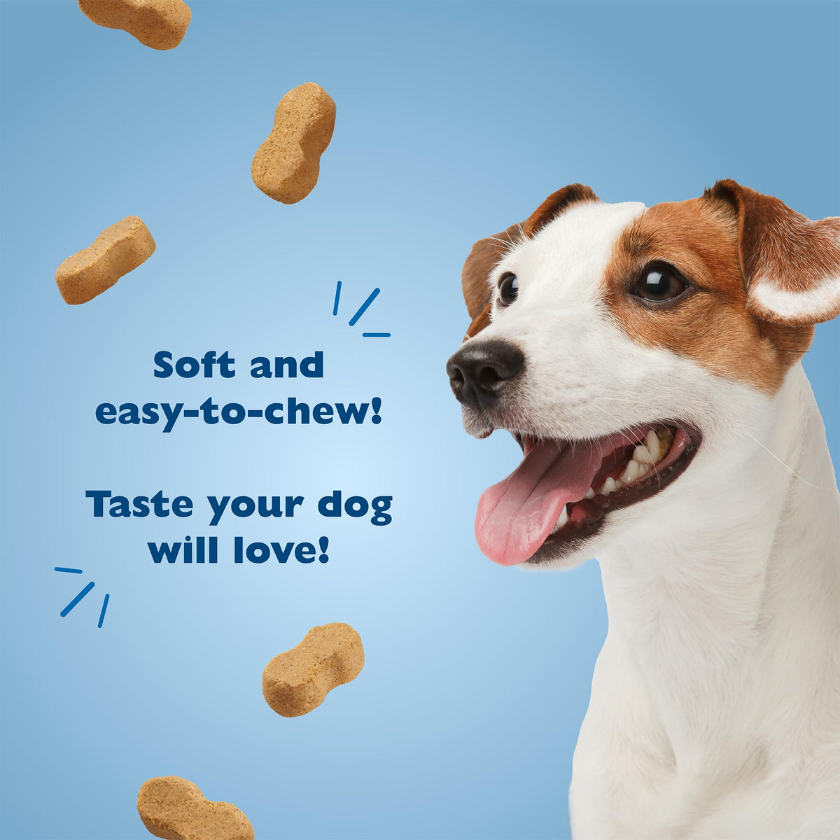 Peanut Butter Flavor Dog Treats 10oz 4-Pack P249732
