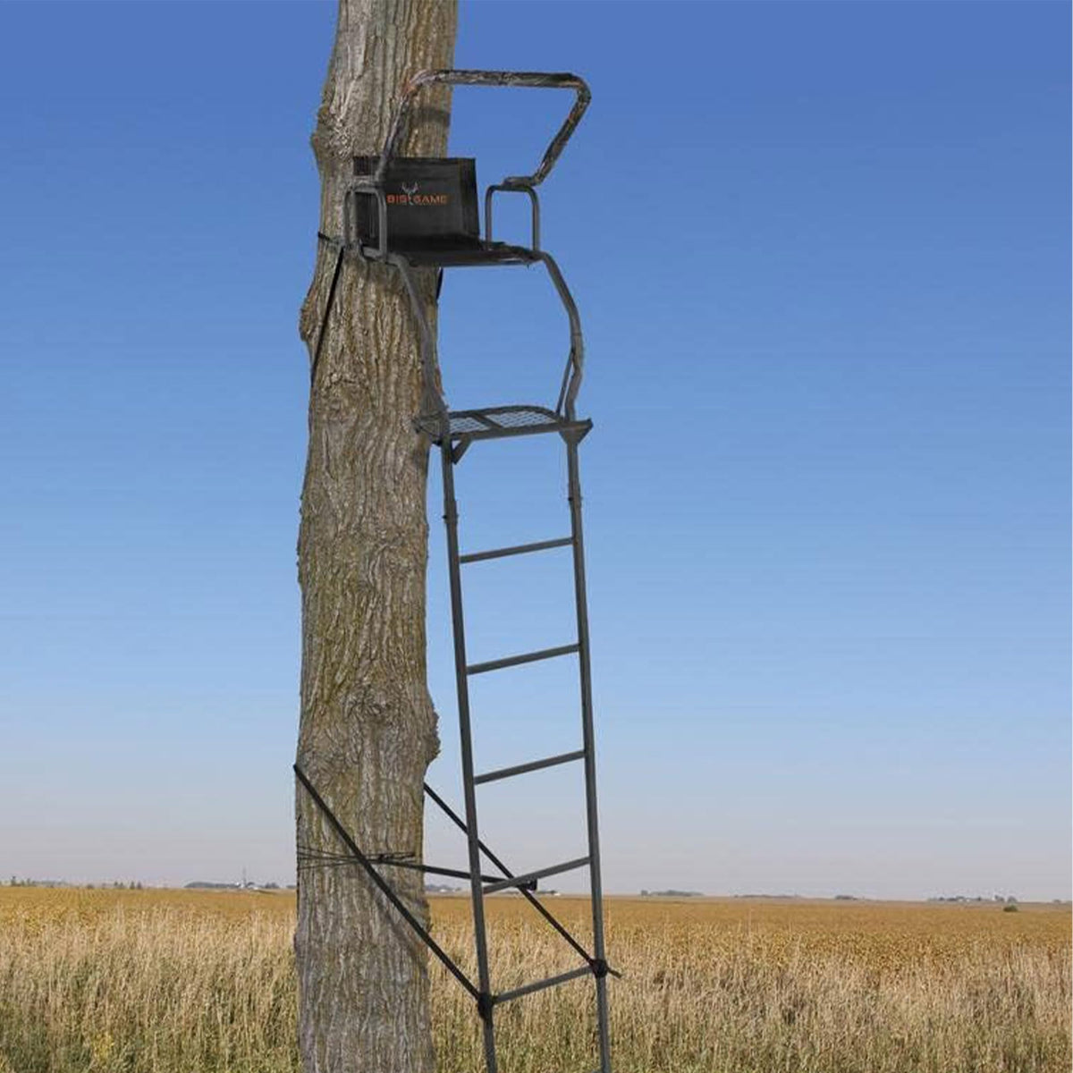 Ladder Tree Stand N429