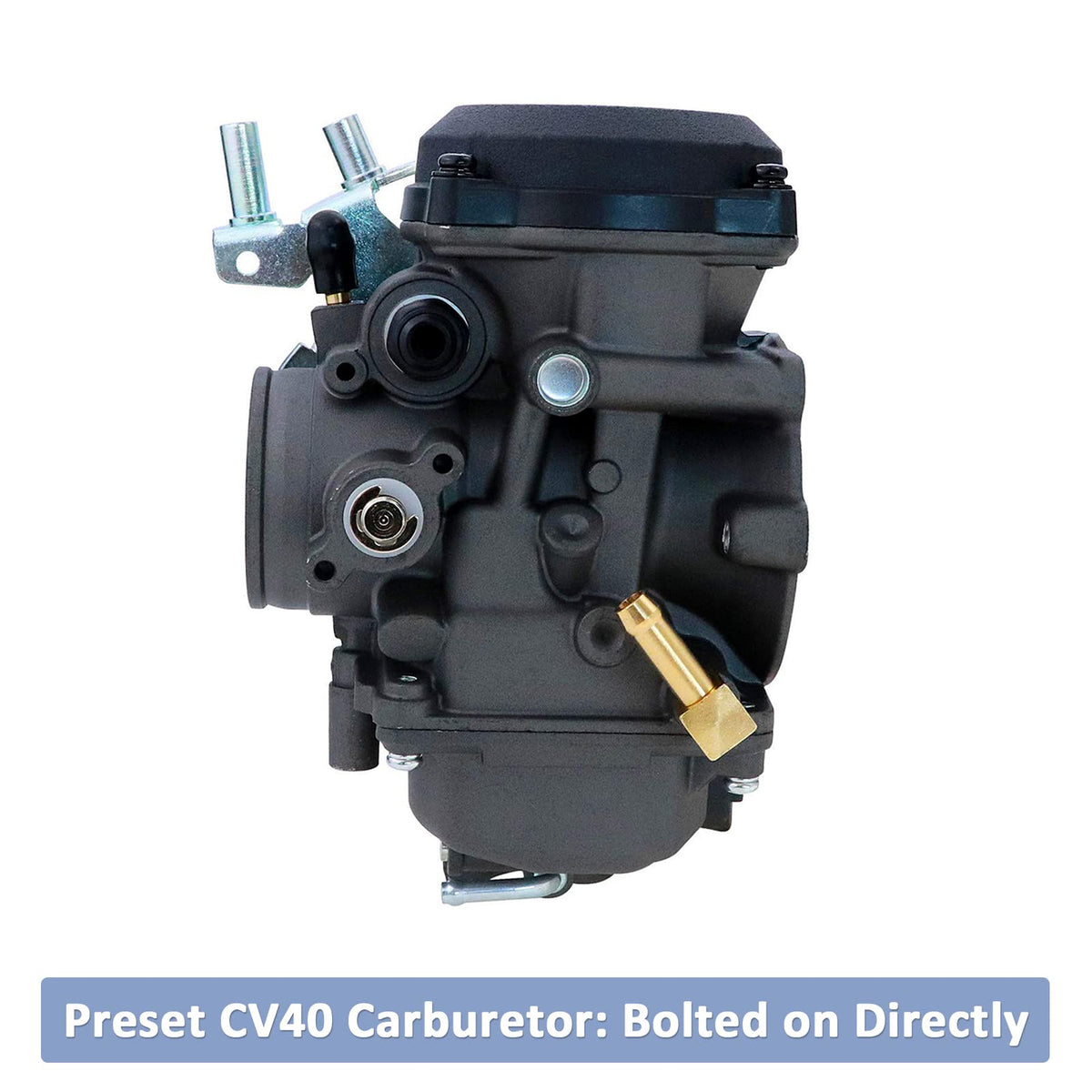 CV40 Carburetor with Fuel Filter Spark Plug Jets F299