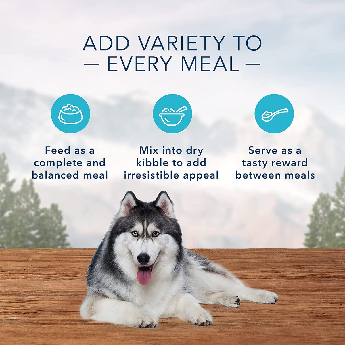 High Protein Wet Food for Senior Dogs, Turkey & Chicken, 12.5-oz Cans, Pack of 24 H656664