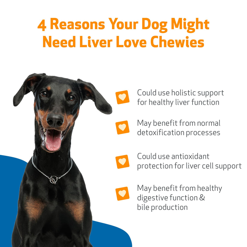 Liver Support Chewies for Dogs, 90 Ct J6828