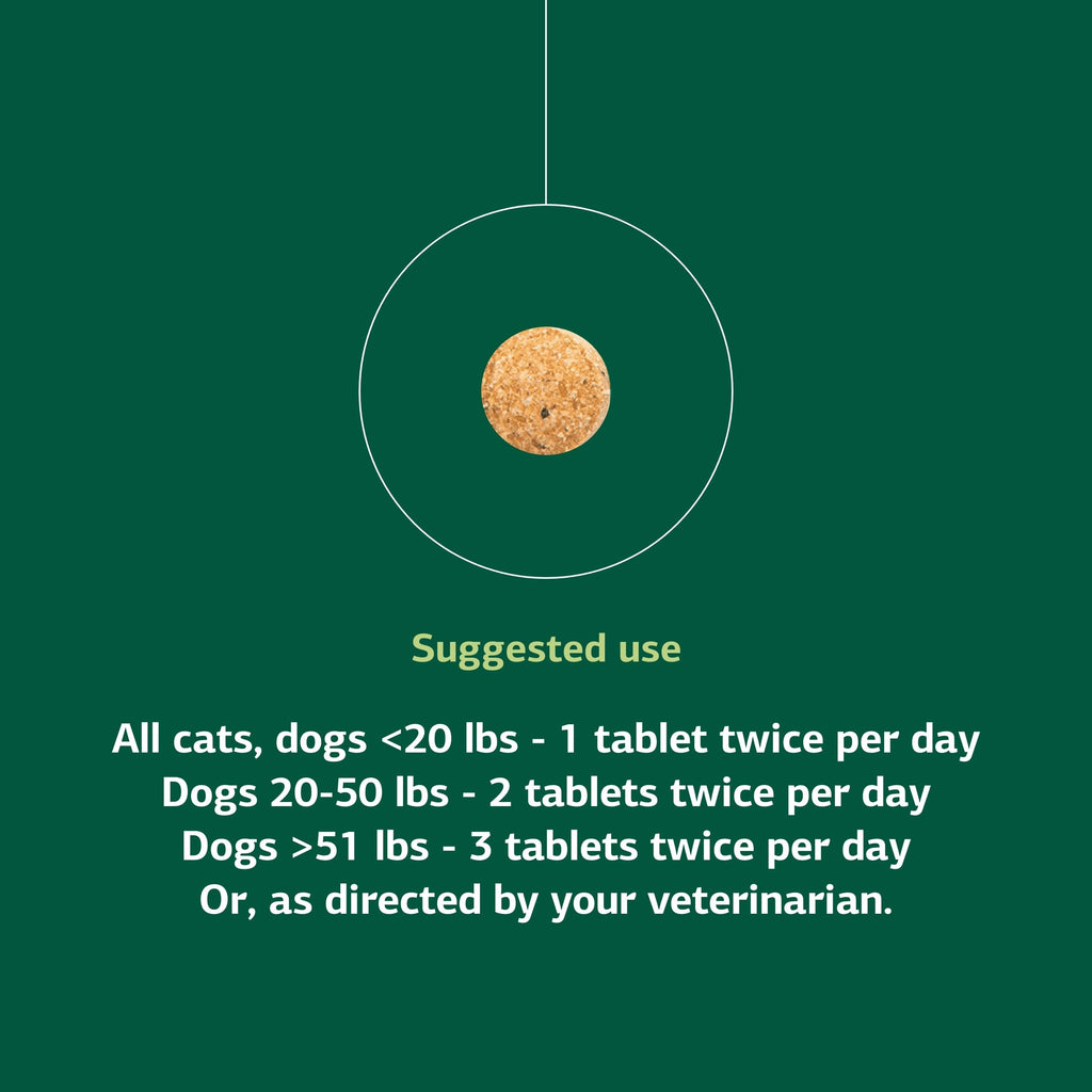 90 Tablets W62093