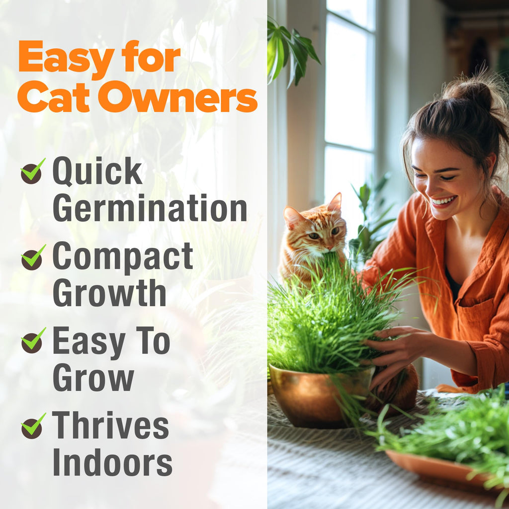 Cat Grass Seeds 4 oz Oat & Barley Mix W726514