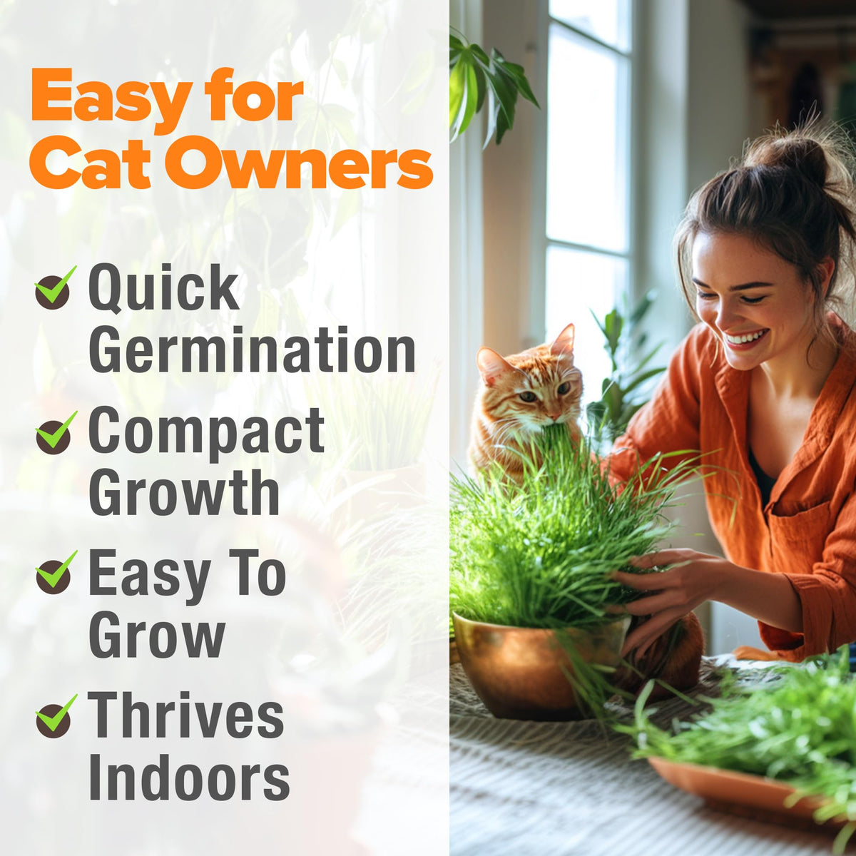 Cat Grass Seeds 4 oz Oat & Barley Mix W726514