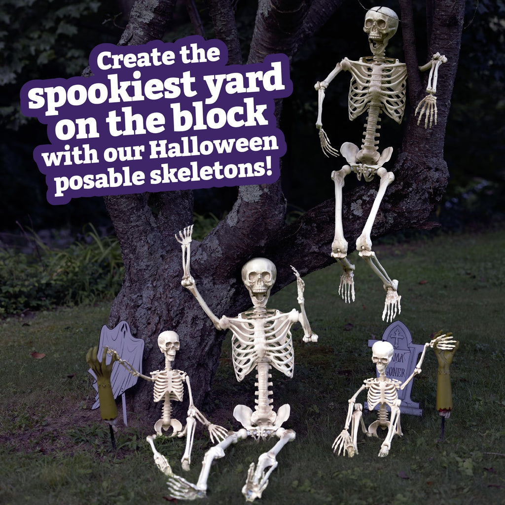Life Size Posable Human Skeleton 4pk L49321