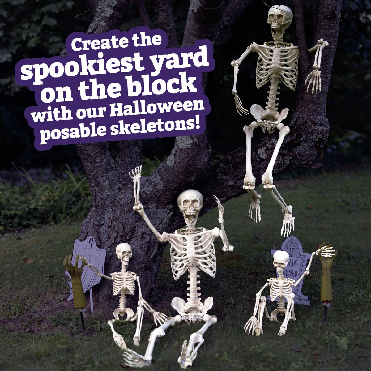 Life Size Posable Human Skeleton 4pk L49321
