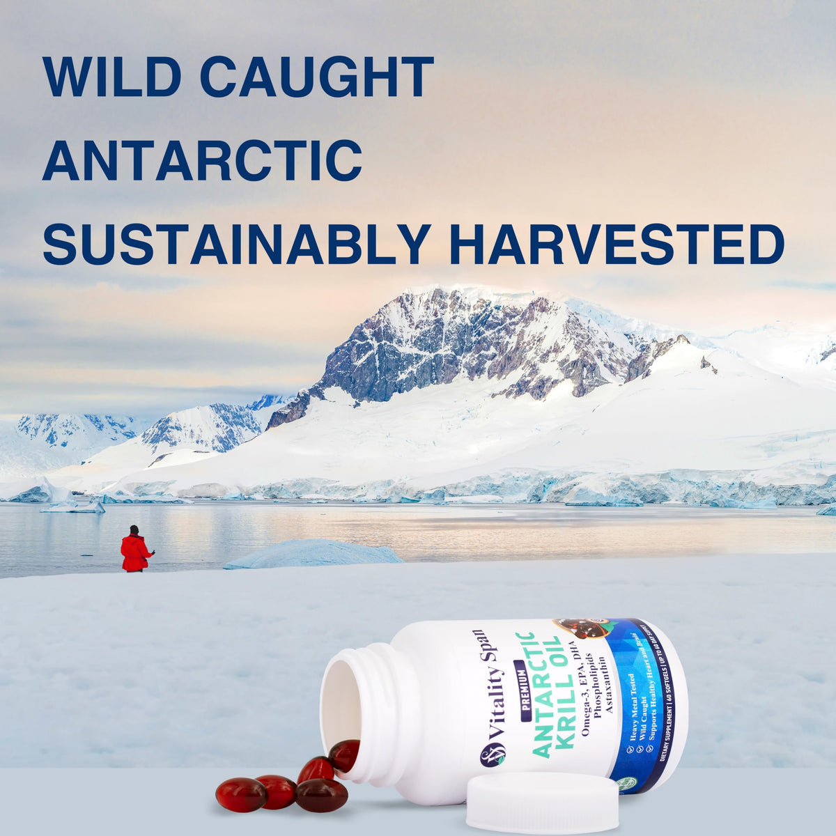 Krill Oil 500mg Omega-3 EPA & DHA 60 Softgels Q12795