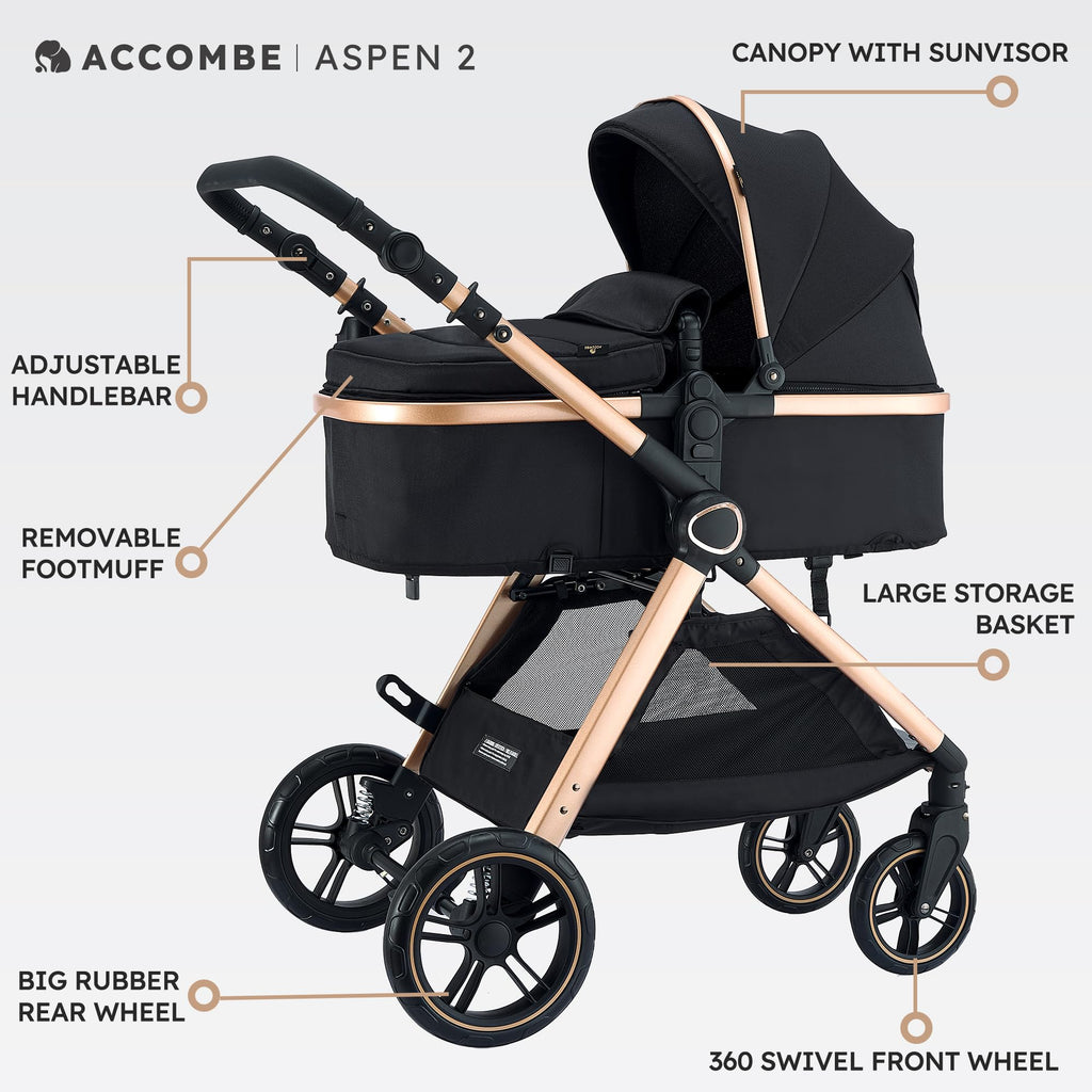 2-in-1 Convertible Baby Stroller E25131