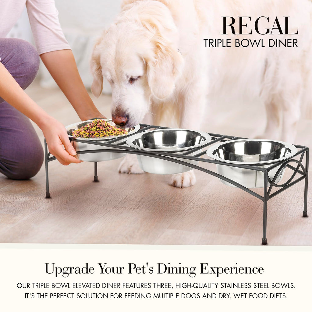 Black Triple Bowl Dog and Cat Feeder Stand with 3-2 Qt Stainless Bowls M947796