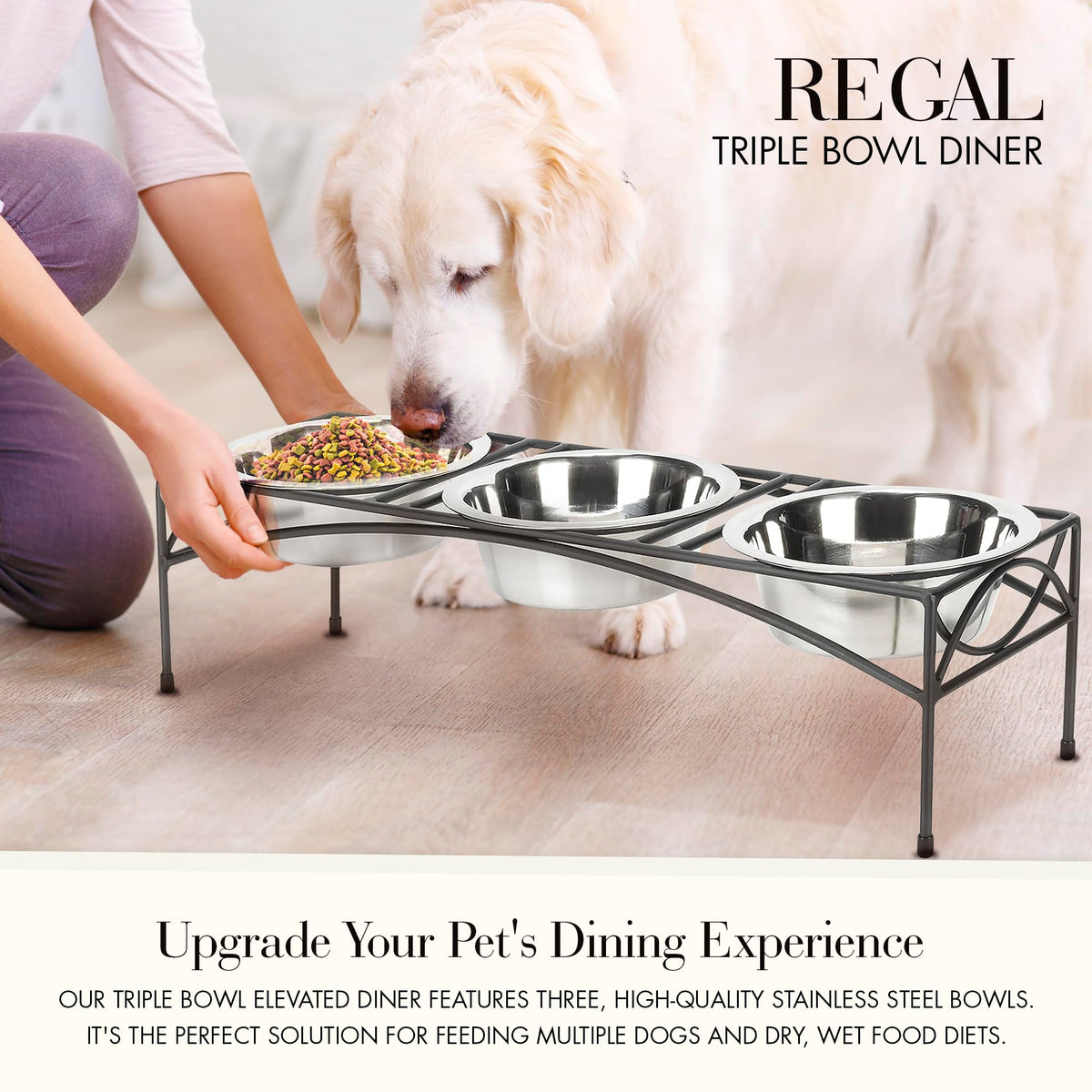 Black Triple Bowl Dog and Cat Feeder Stand with 3-2 Qt Stainless Bowls M947796