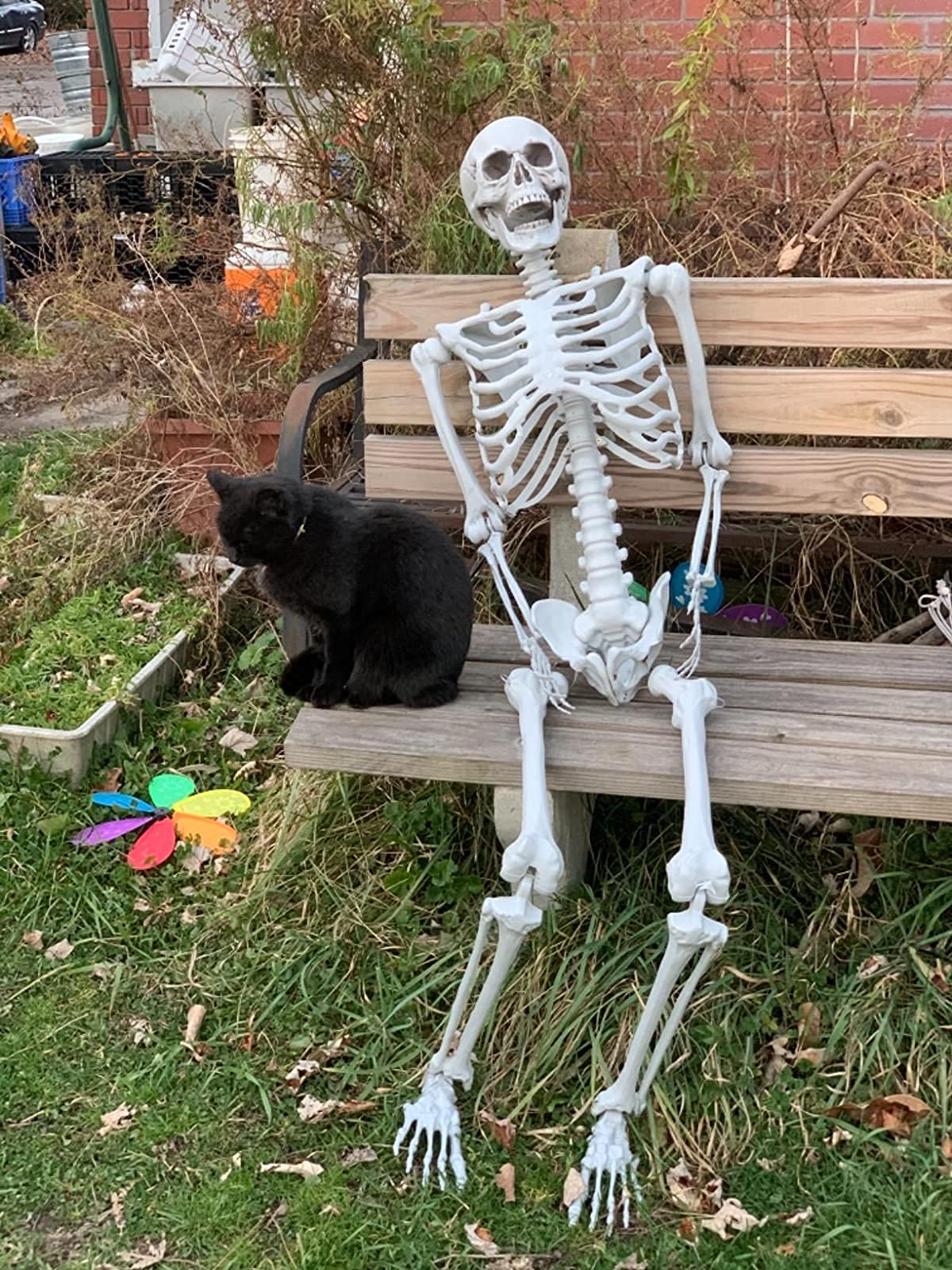 2Packs 5.4ft Life Size Full Body Skeletons with Movable Joints U5614
