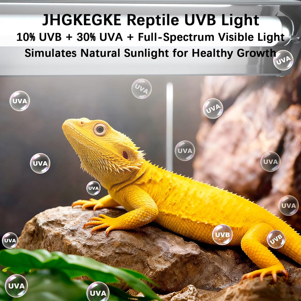 8W UVA UVB Reptile Light Fixture Combo Kit P141535