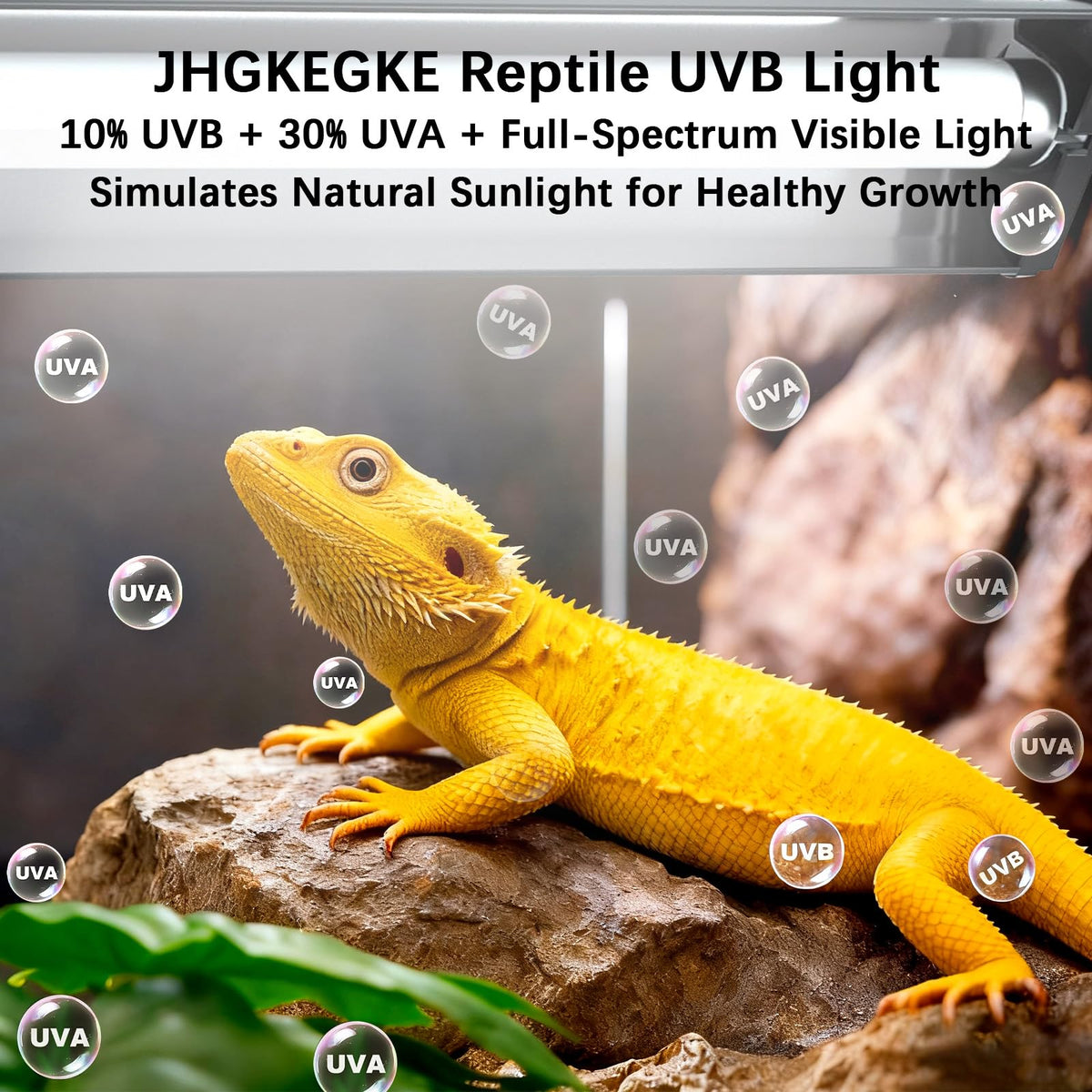 8W UVA UVB Reptile Light Fixture Combo Kit P141535
