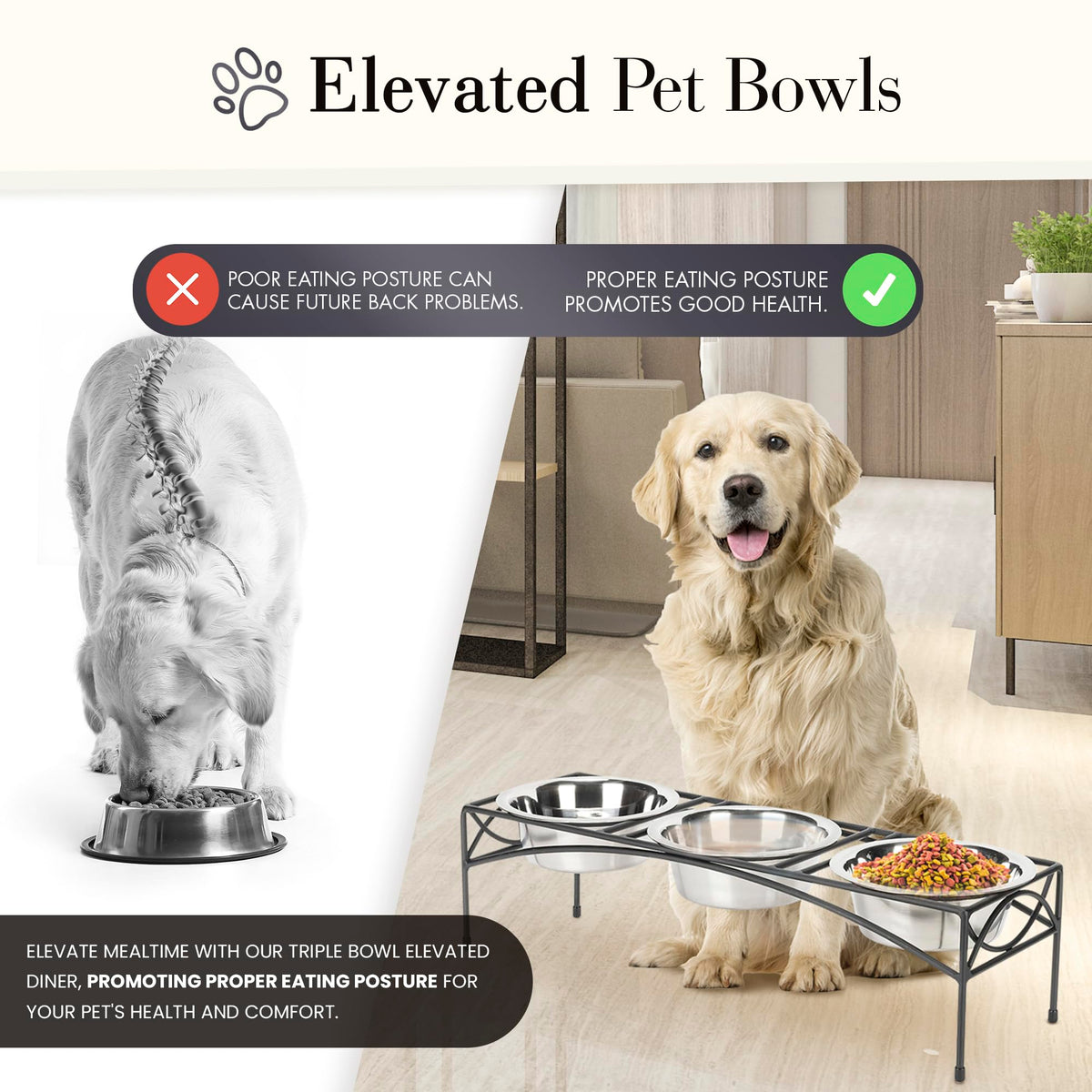Black Triple Bowl Dog and Cat Feeder Stand with 3-2 Qt Stainless Bowls M947796