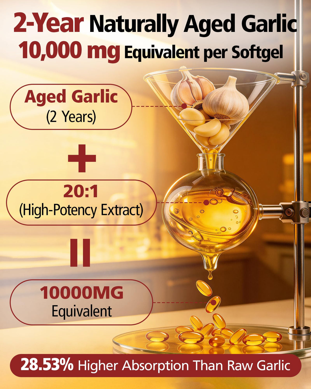 Aged Garlic Extract 10,000 mg 300 Softgels R342