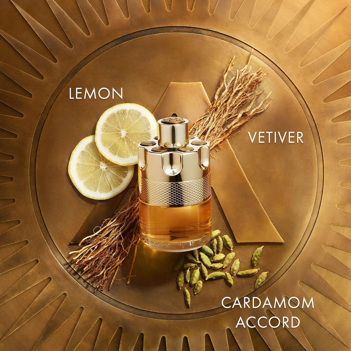 Woody Citrus Eau de Toilette 3.3 Fl Oz C40448