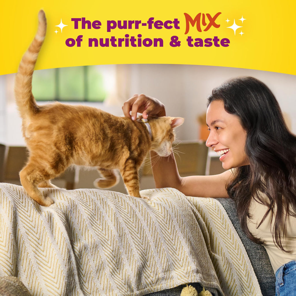 Dry Cat Food for Kittens, 4 Bags P995687