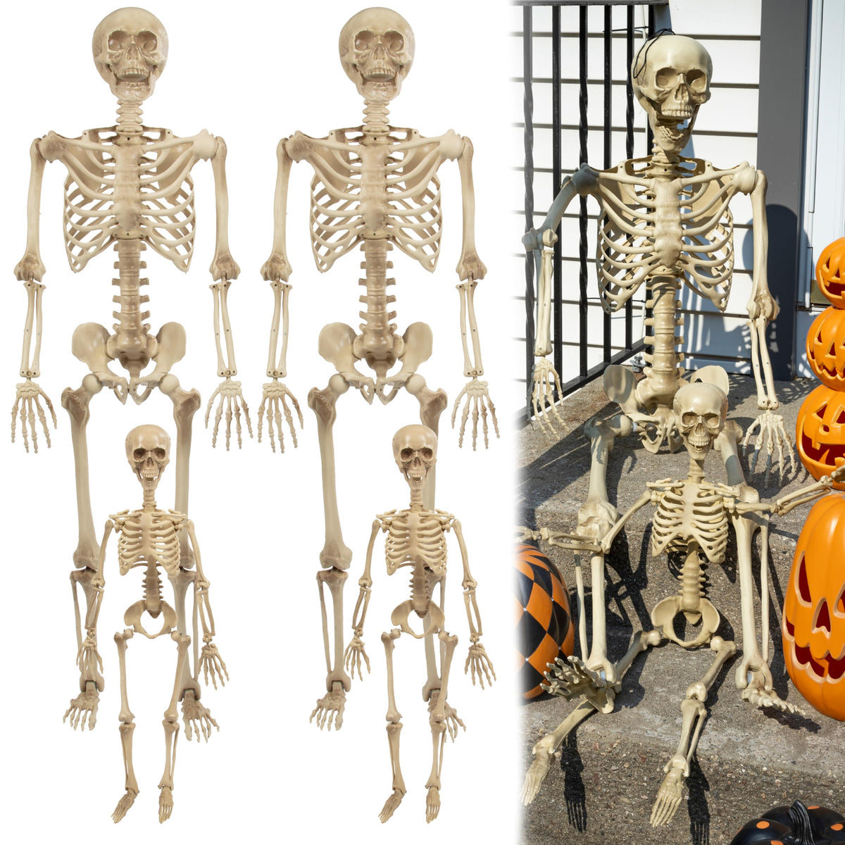 Life Size Posable Human Skeleton 4pk L49321