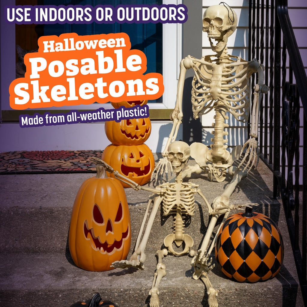 Life Size Posable Human Skeleton 4pk L49321