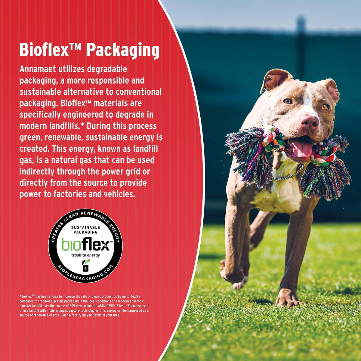 Chicken & Brown Rice Dry Dog Food 40-lb bag D628